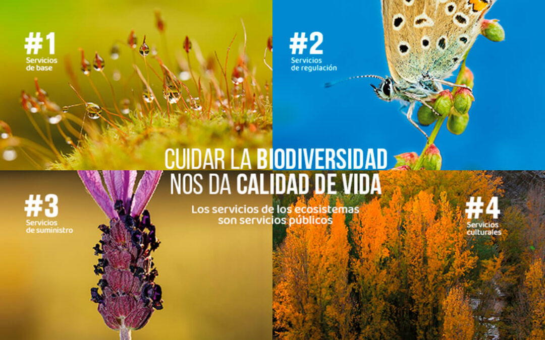 La Rioja lanza una campaña para concienciar sobre la importancia de proteger la biodiversidad