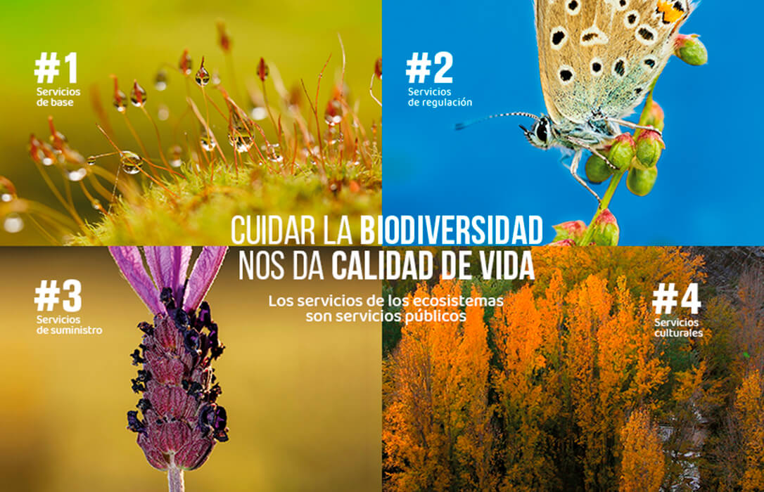 La Rioja lanza una campaña para concienciar sobre la importancia de ...