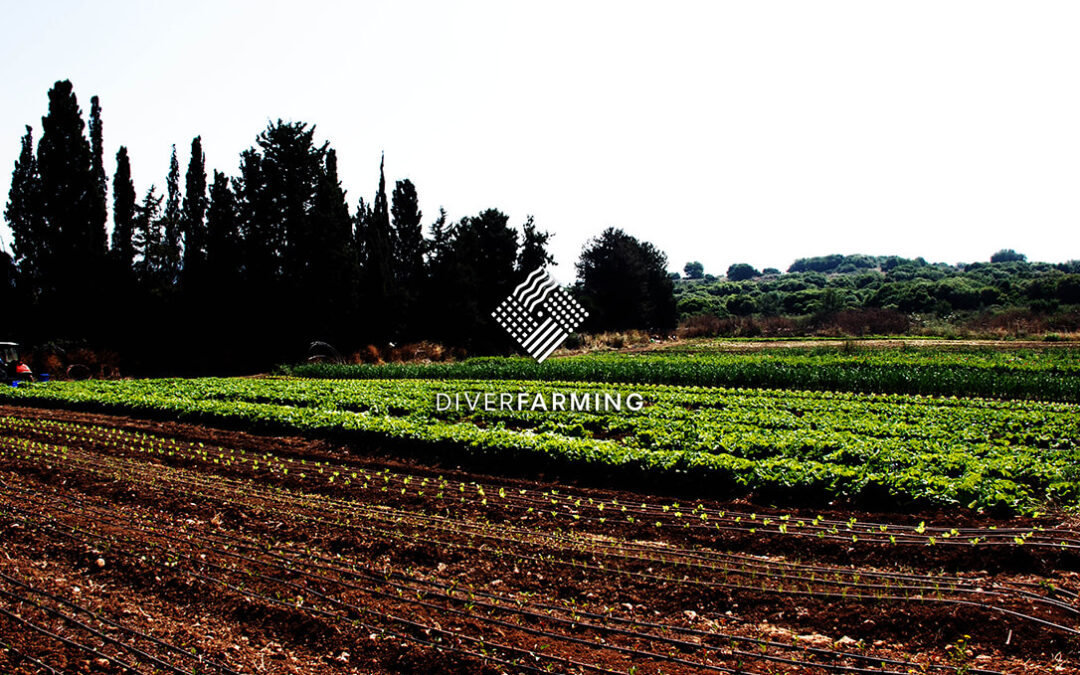 Los suelos agrícolas bajo manejo convencional contienen niveles de pesticidas hasta 10 veces más altos que los suelos de agricultura orgánica