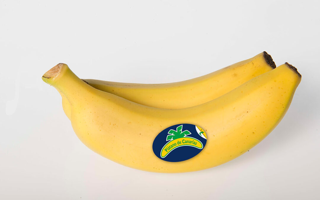 Plátano de Canarias, primera fruta de España que ofrece un etiquetado nutricional para la venta a granel