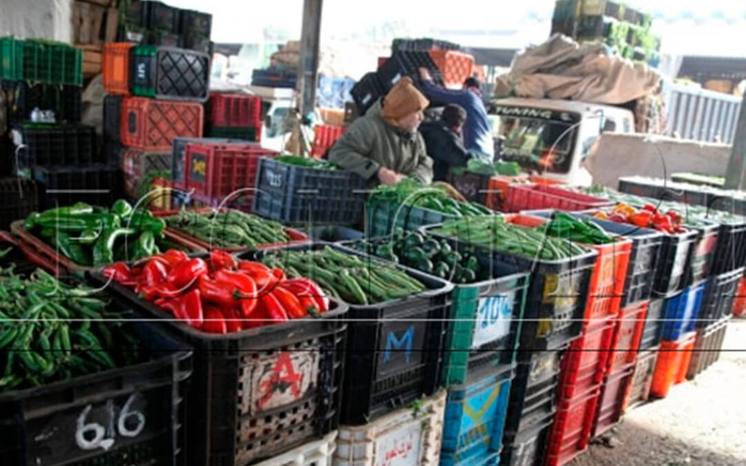 Marruecos se defiende y asegura que las frutas y hortalizas marroquíes en la UE representan solo el 2% del mercado