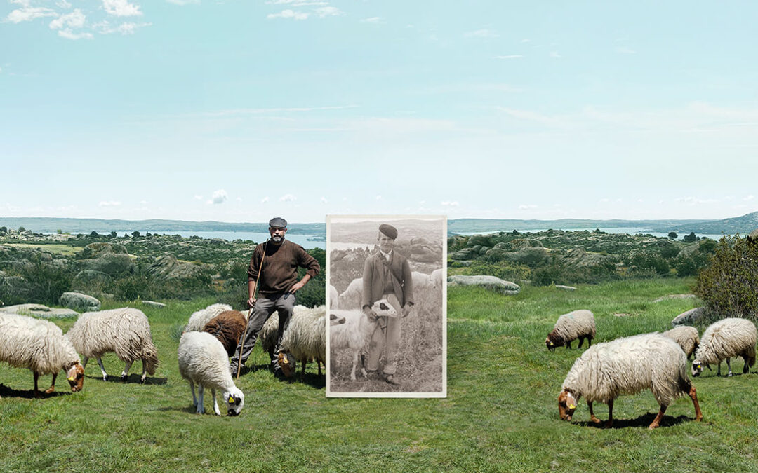 Interovic presenta el Programa Europeo que ayudará a posicionar la sostenibilidad del ovino y caprino ante la sociedad