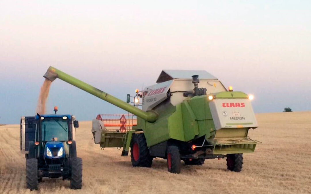 El marzo más seco del siglo merma la cosecha andaluza de trigo duro, que se reduce en más de un 21%