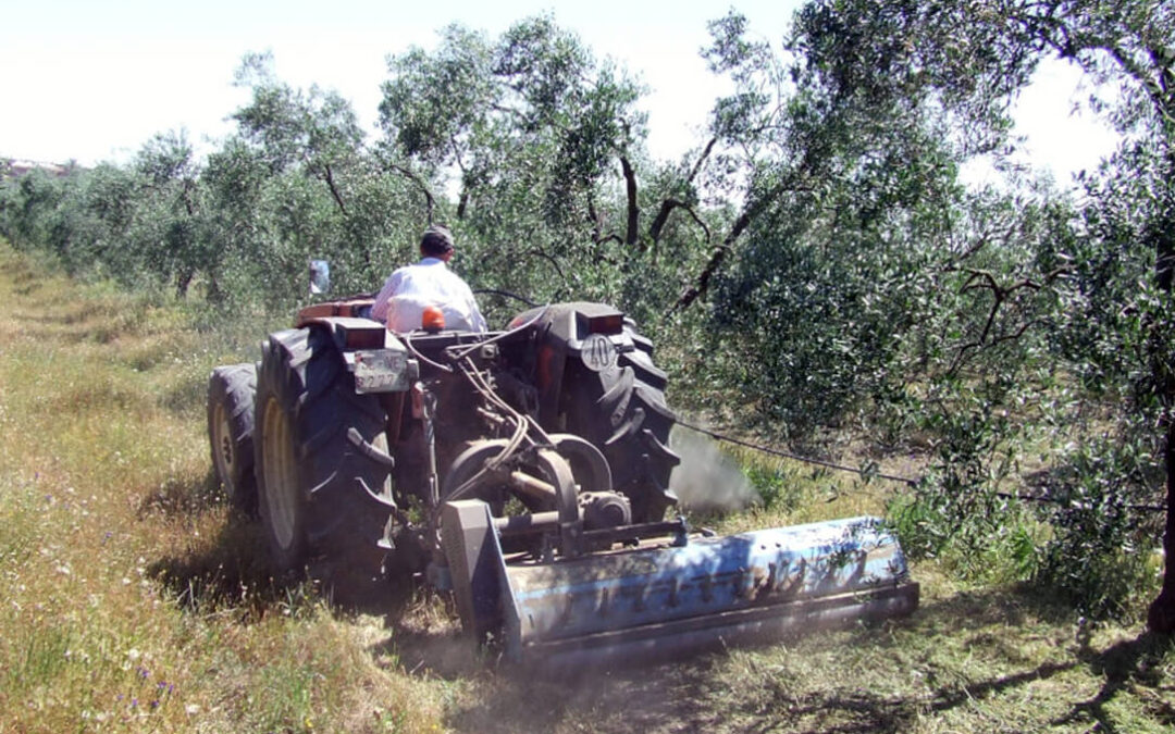 Andalucía defiende que el productor ecológico se considere ‘per se’ agricultor genuino en la nueva PAC
