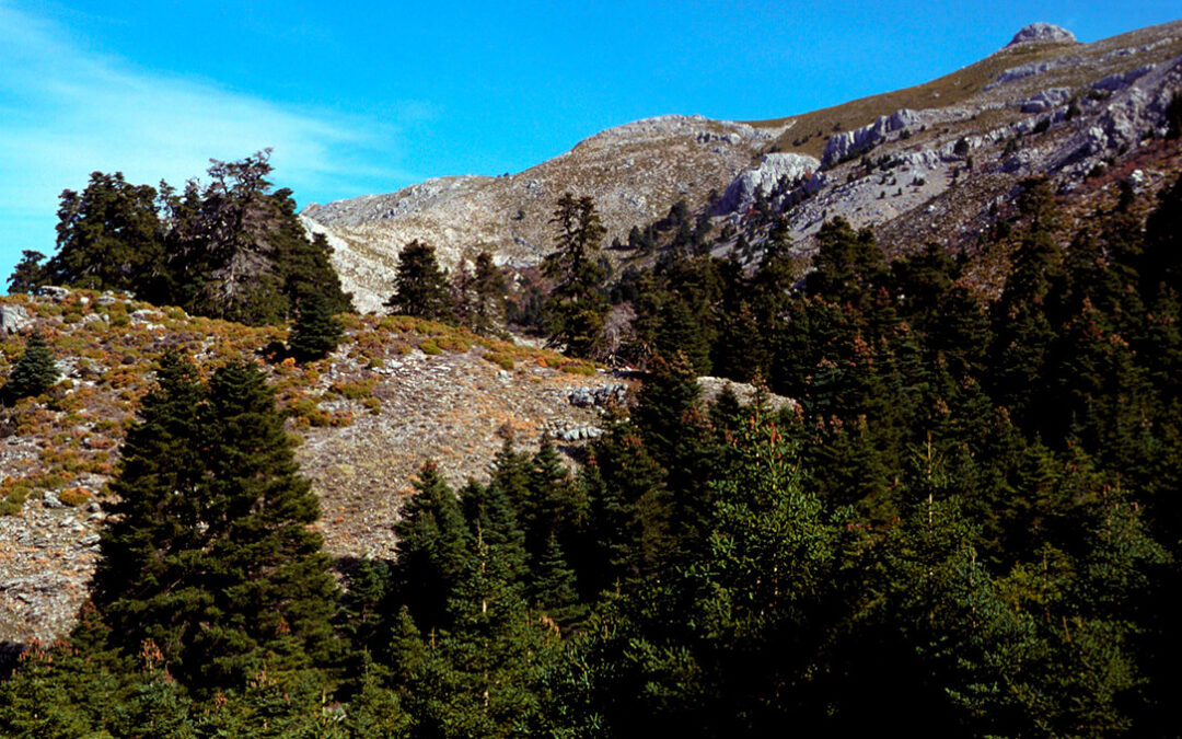 Precaucion y cautela en el sector agrario ante la aprobación de Sierra de las Nieves como Parque Nacional