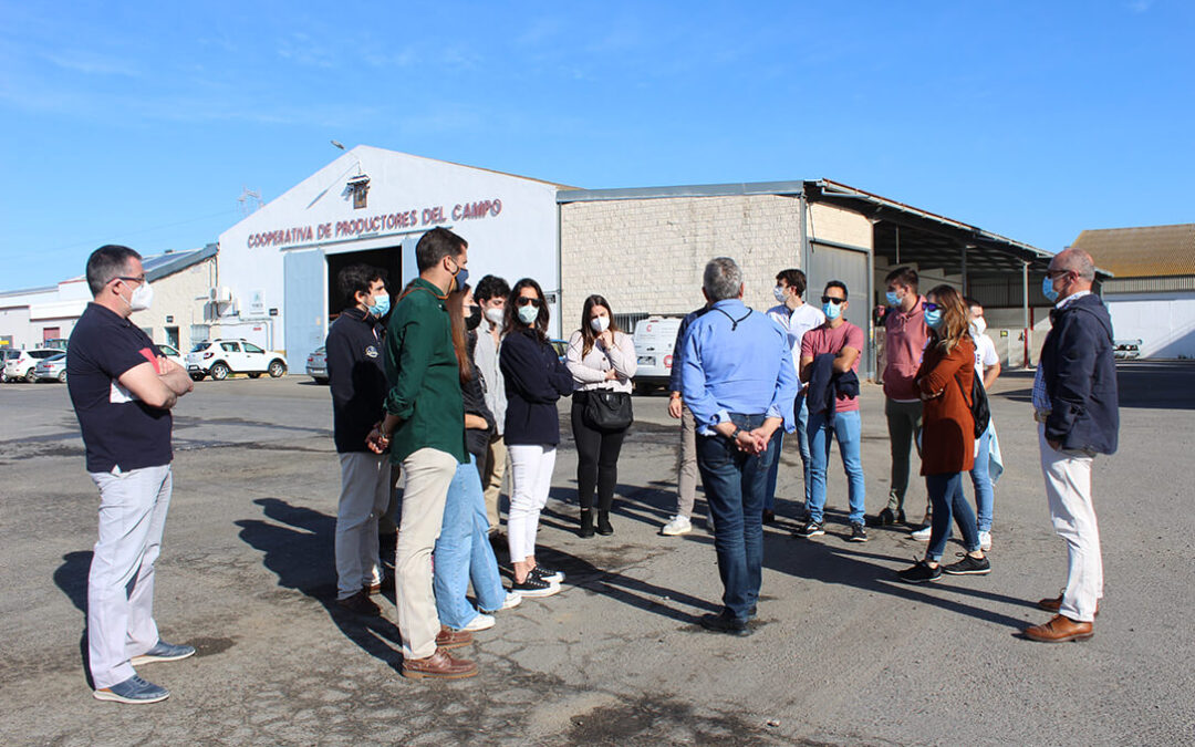 Universitarios andaluces estrenan su vida laboral en cooperativas agroalimentarias