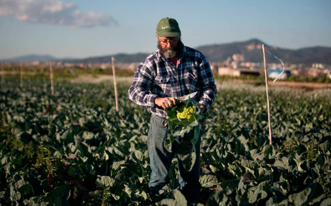 Luis Planas defiende la agricultura familiar como eje para emprender la transformación de los sistemas alimentarios