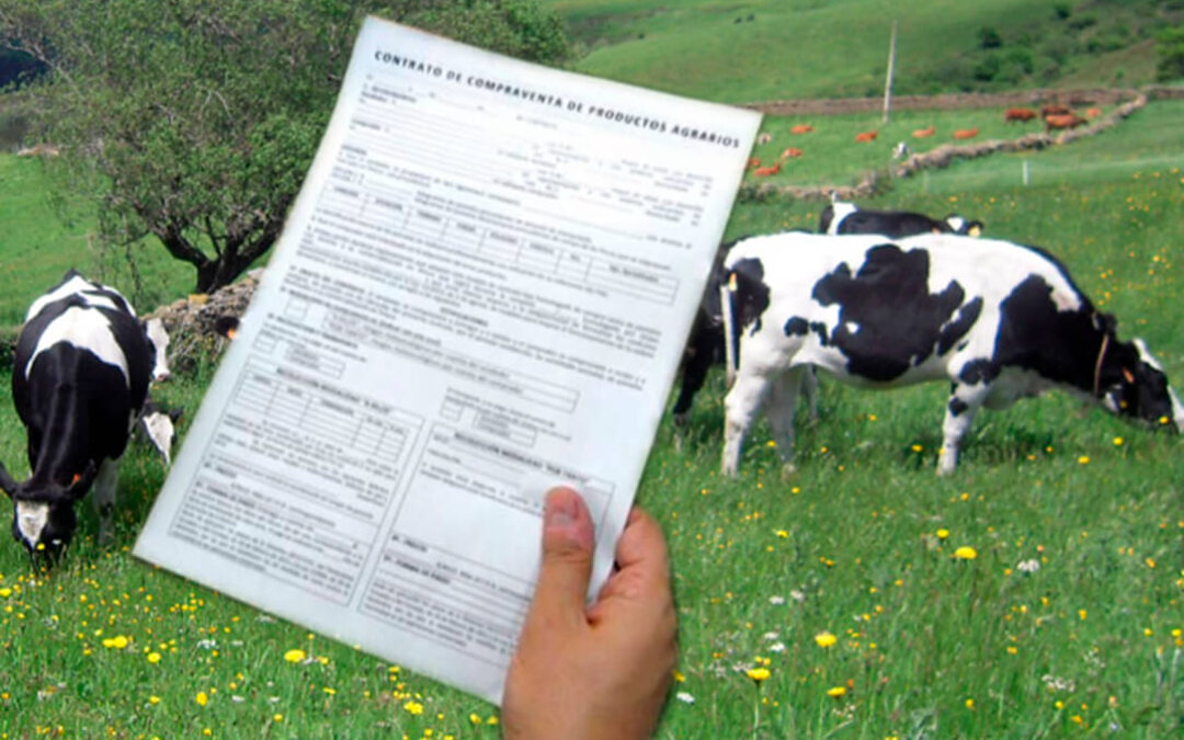 Exigen revisar todos los contratos de compra-venta de leche entre ganaderos e industria para ajustarlos a los costes reales