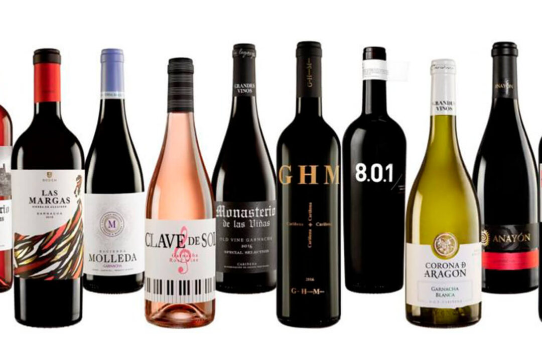 La DOP Cariñena califica de «muy buena» la añada de vino de 2020 y completa un gran año en calidad y cantidad