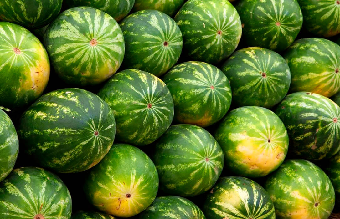 Denuncian que las importaciones de frutas de terceros países están hundiendo la economía de las explotaciones familiares - Vimarsana News