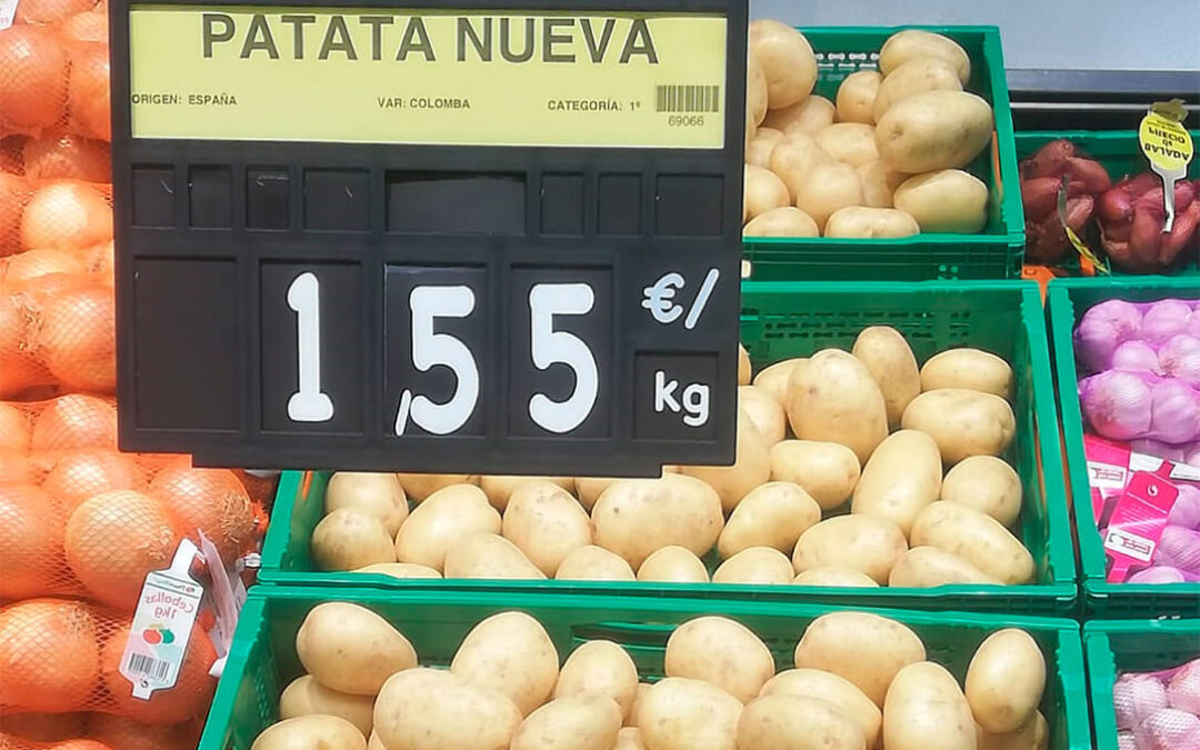 Lo que no dice la Ley de la Cadena: Los productores de patata perciben 0,12 €/k y a unos kilómetros se venden a 1,55 €/k