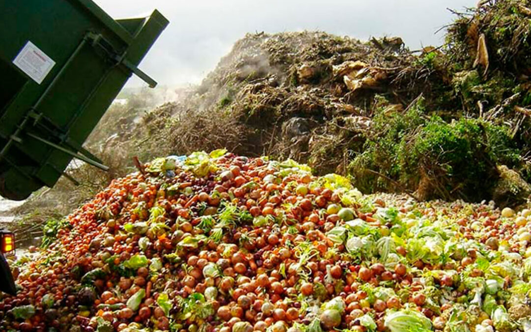 Fundación Global Nature y Sigfito presentan un documento para dar una solución normativa a la gestión de residuos en la agricultura