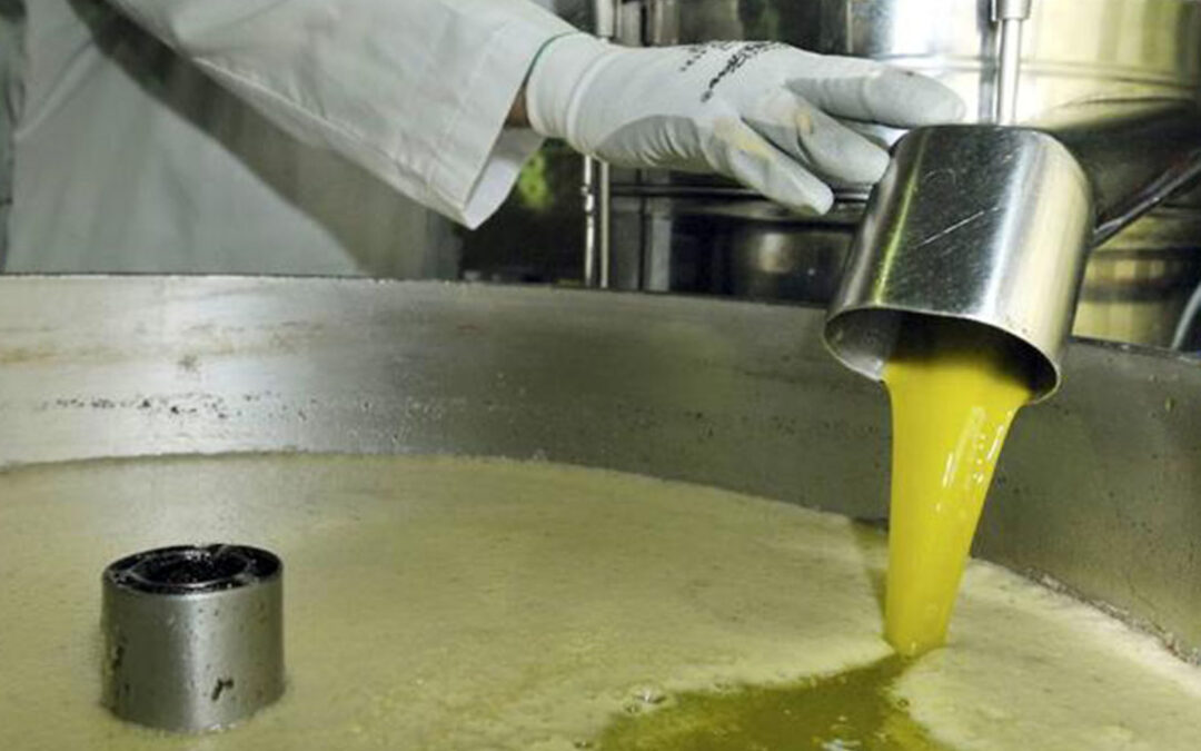 Buenas cifras en el sector del aceite de oliva con salidas de 122.010 toneladas en junio