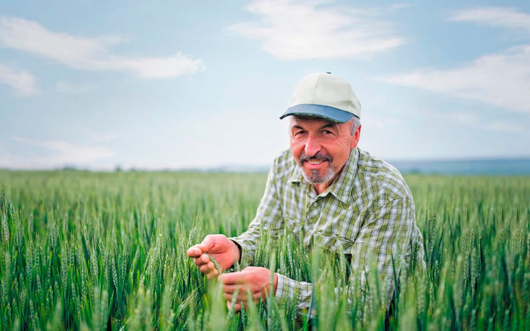 Agromonegros presenta sus novedades y un amplio catálogo de semillas certificadas