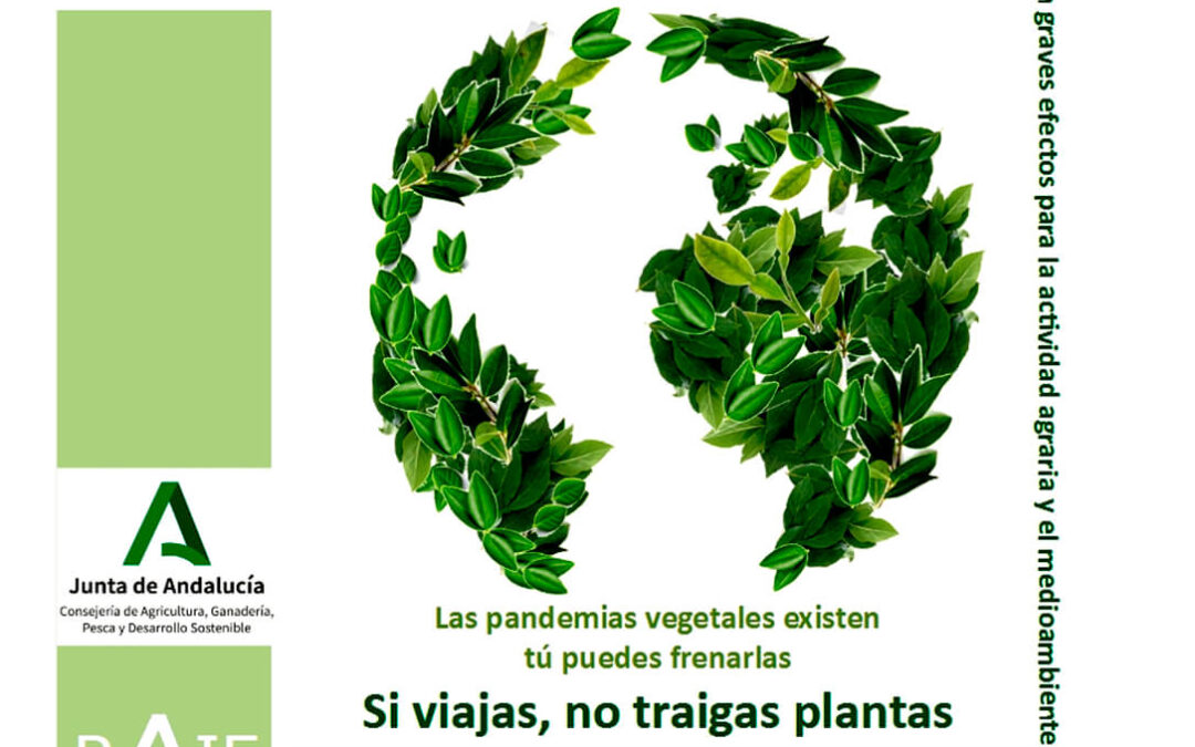 La lucha contra las plagas es cosa de todos: Campaña de concienciación sobre el riesgo de traer plantas sin control
