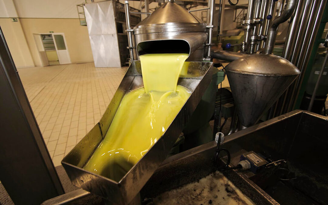 Planas anuncia un decreto sobre calidad y trazabilidad del aceite de oliva para poner más orden en el sector