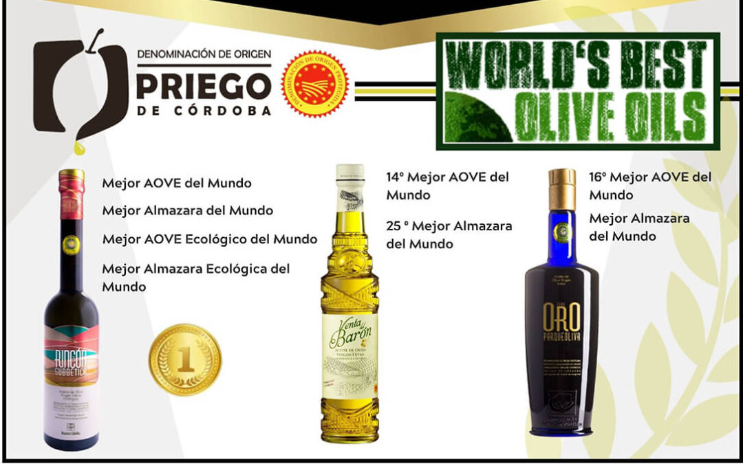 Almazaras de la Subbética, S.L (DOP Priego de Córdoba) gana por tercera vez todas las categorías del World’s Best Olive Oils