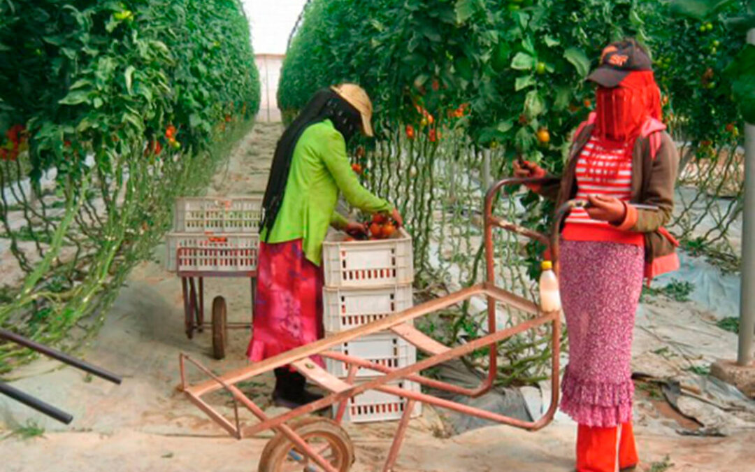 Marruecos en “Fruit Attraction”, un problema Real
