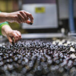 EEUU presiona para que dejen a España sola y limitar así las represalias de la UE por los aranceles a las aceitunas negras