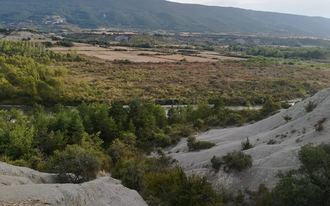 Queja oficial por una deforestación de la CHE que conlleva la destrucción de la red Natura 2000 en el río Aragón