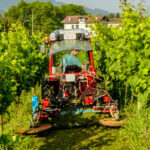 Agricultores y ganaderos comienzan a exigir a sus Gobiernos regionales que agilicen el pago del adelanto de la PAC