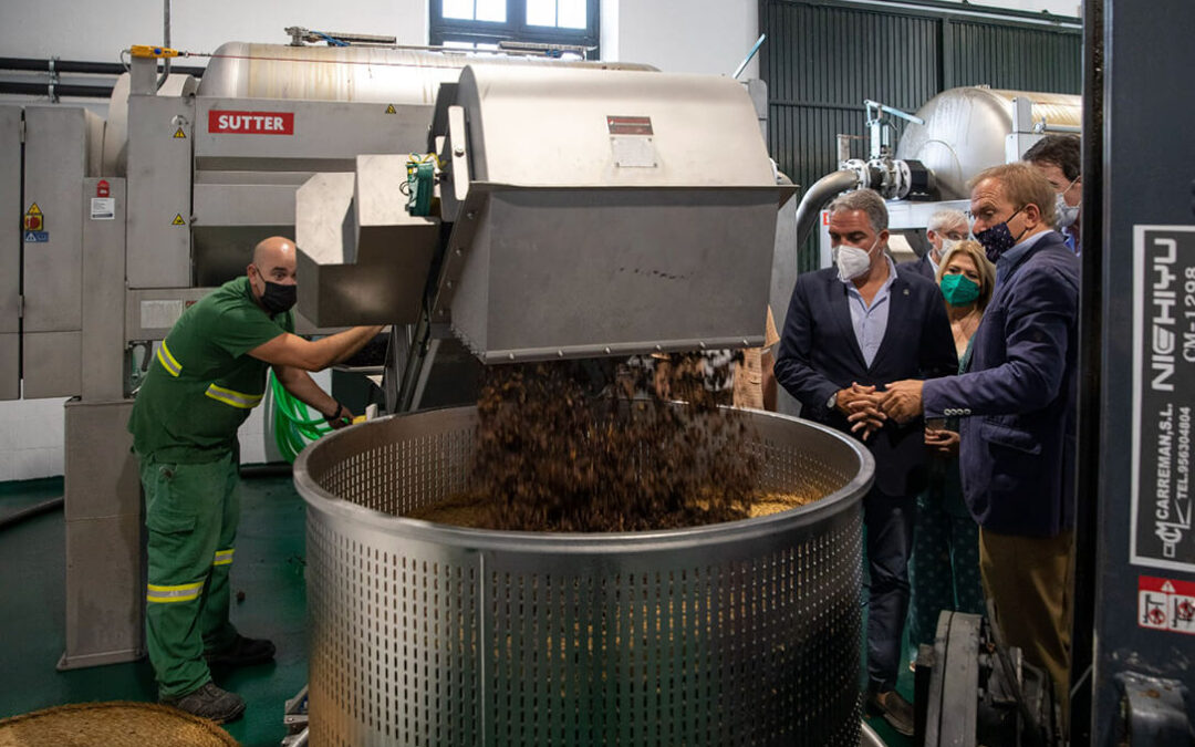 Las exportaciones de vinos de Jerez crecen un 25% respecto a 2019 por valor de 15,1 millones, un 29,1%o más
