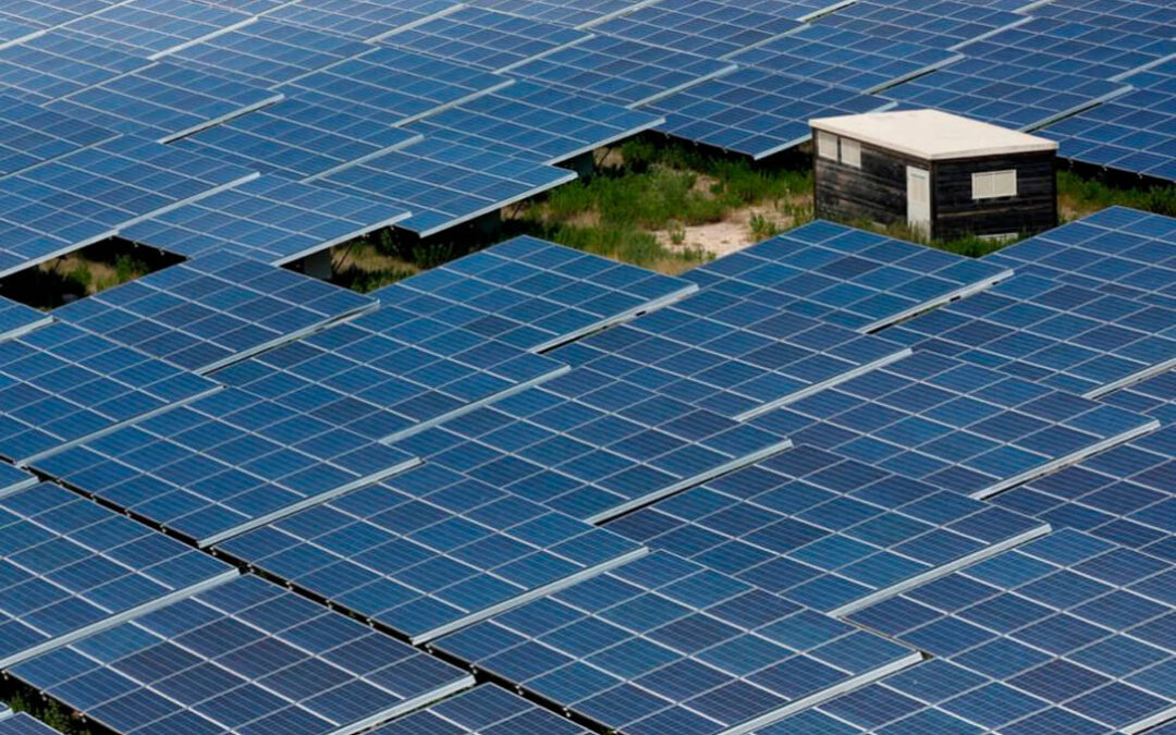 La invasión que no cesa: Otros 4 estos proyectos fotovoltaicos acabará con 736 hectáreas de cultivo de juntas vecinales