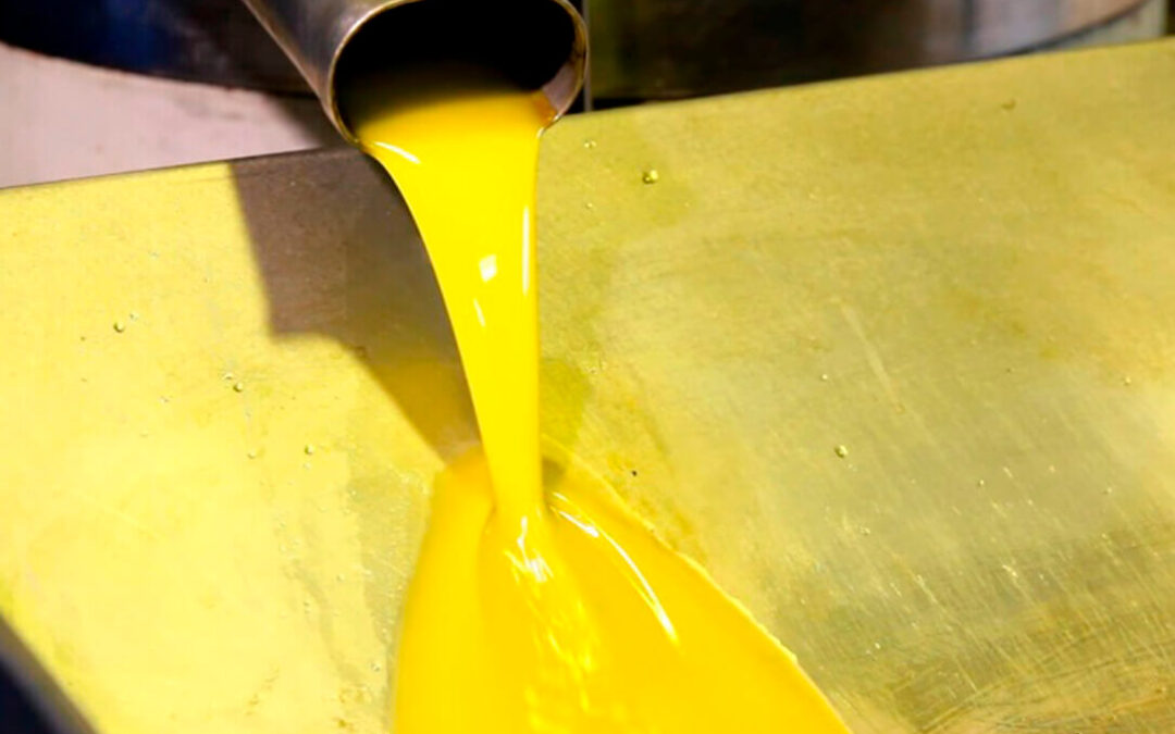 El aceite de oliva consolida su peso en los mercados y cierra la campaña con récord de ventas
