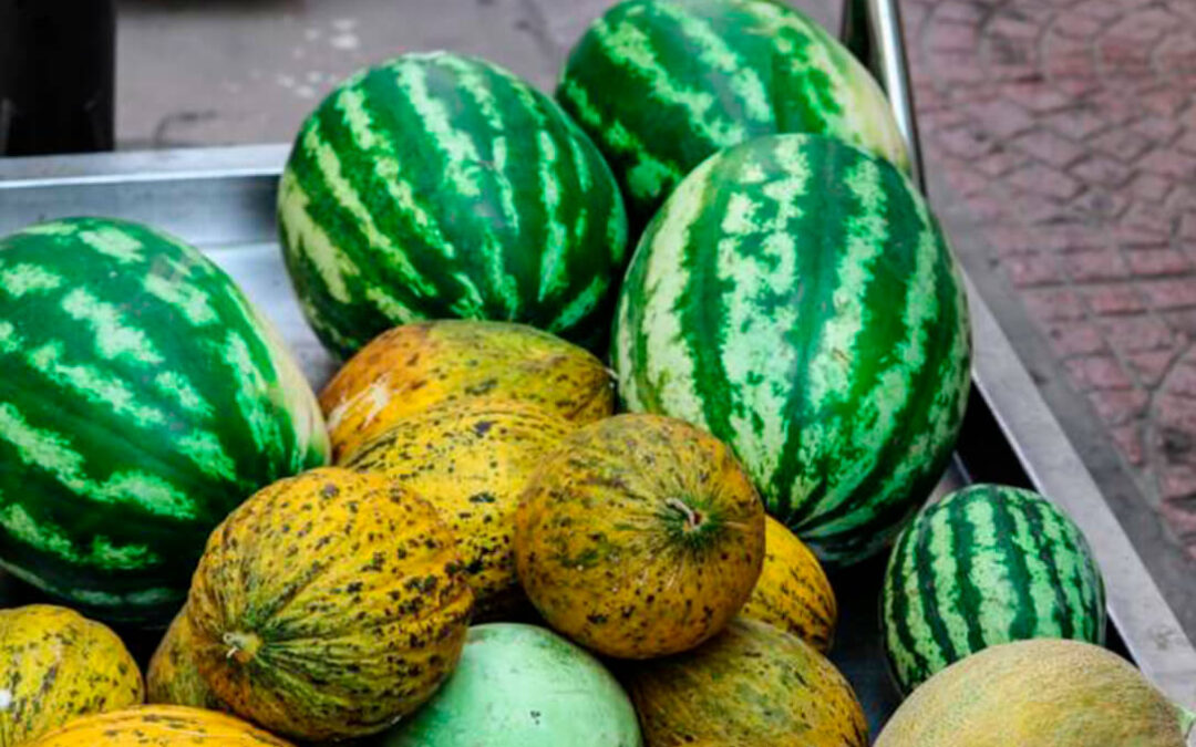Balance campaña: Precios ruinosos para la sandía y oferta de melón ajustada a la demanda con precios estables, pero sin beneficio