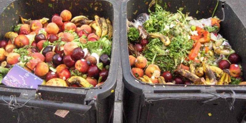 El primer proyecto de ley para evitar el desperdicio de alimentos porque «no hay nada más caro que lo que acaba en la basura”