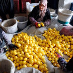 En solo dos meses ha habido 10 alertas sanitarias de limones turcos en la UE por presencia de pesticidas superando todos los récords