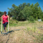 Lo que va a cambiar: Las siete prácticas sostenibles propuestas para cobrar los ecoesquemas de la PAC
