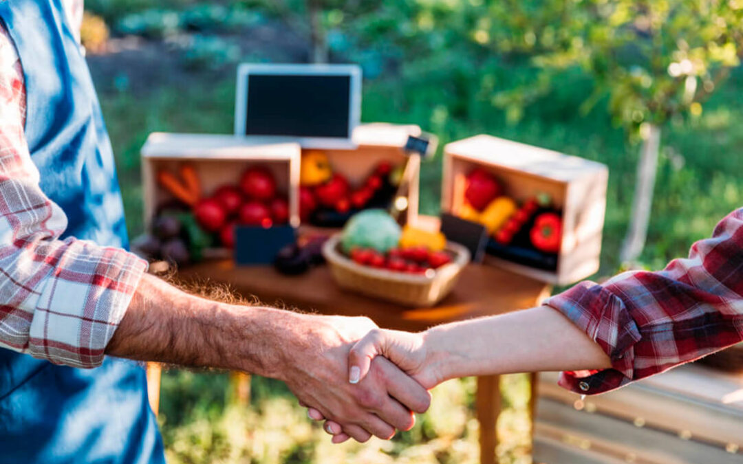 Llega a España SEKAI, el primer marketplace de productos ecológicos como plataforma de un espacio digital de comercio