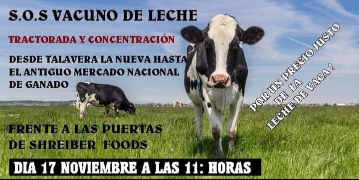 La Asociación Frisona de Castilla la Mancha se suma a las protestas por el precio de la leche y convoca una tractorada en Talavera de la Reina