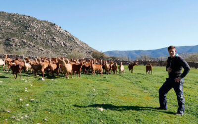 El Foro de Acción Rural lleva al Ministerio sus reivindicaciones para el mundo rural con una defensa del Pacto Verde Europeo