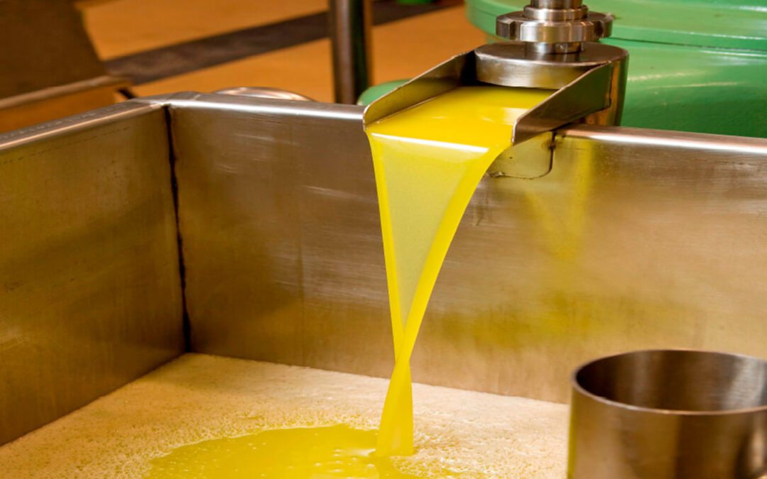 La campaña oleícola comienza su primer mes de ventas con malos resultados y fuertes caídas en el aceite de oliva