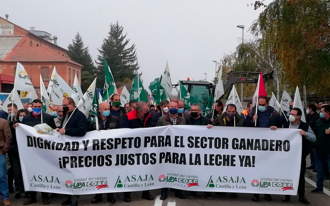 El sector lácteo sigue con sus movilizaciones: Ya hay prevista una protesta en León frente a la fábrica de Lactiber