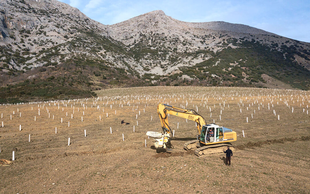 Se captará casi medio millón de toneladas de CO2 con la reforestación de 2.000 hectáreas de tierras degradadas en España