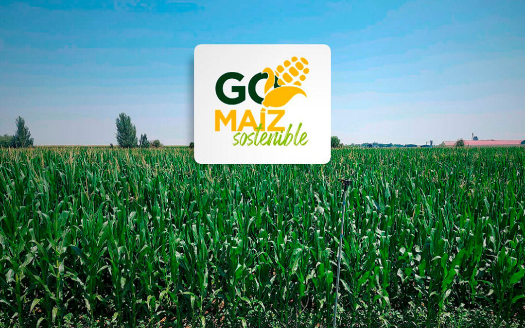 Arranca un proyecto de innovación para mejorar la sostenibilidad, la rentabilidad y la competitividad del maíz español