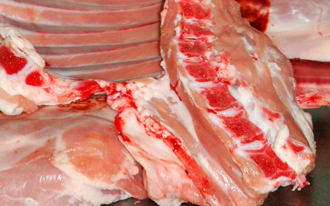 Piden agilidad en el desarrollo normativo del etiquetado obligatorio del país de origen en la carne fresca sin envasar de ovino y caprino