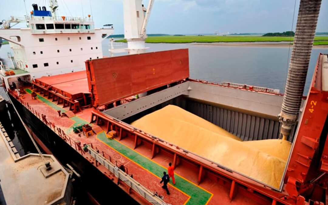El puerto de Málaga bate su propio récord al descargar 70.000 toneladas de maíz este lunes procedente de Brasil