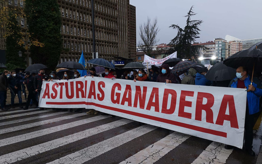 Tensión agraria: Asturias Ganadera se defiende de las críticas y tilda de ilegítimas a las OPAS