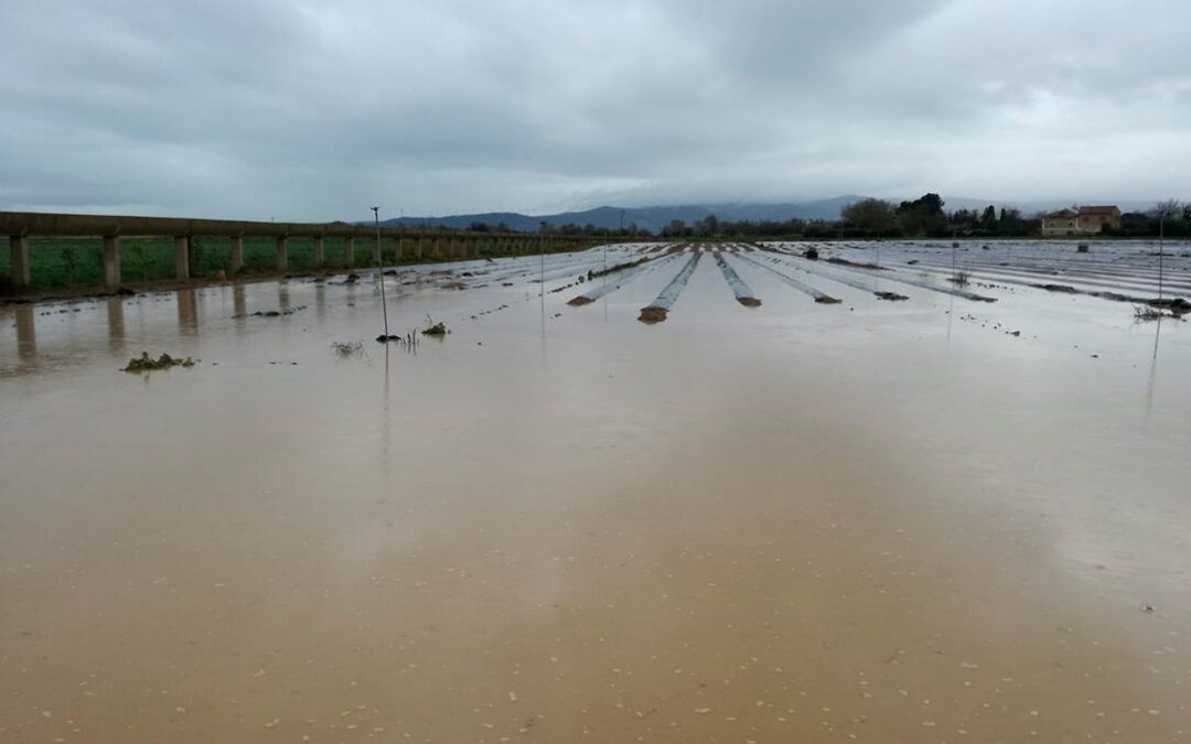 El Gobierno pide una evaluación de los daños agrícolas por la crecida del Ebro, que están cubiertos por el seguro agrario