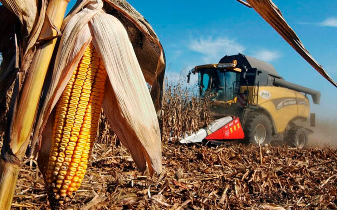La provincia de León sobrepasa, por vez primera, el millón de toneladas de maíz con la sombra de la PAC amenazando