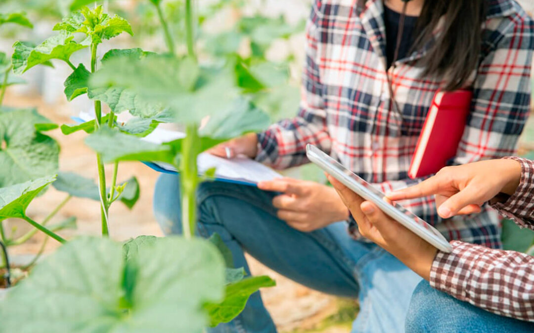Publicado el II Plan de Acción 2021-2023 de la Estrategia de Digitalización del sector agroalimentario y del medio rural
