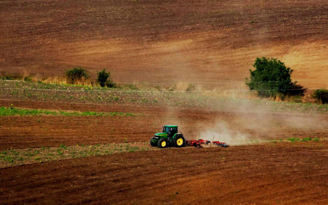 La renta agraria aumentó el 34% en Castilla y León y el sector ya supone el 10% del empleo regional