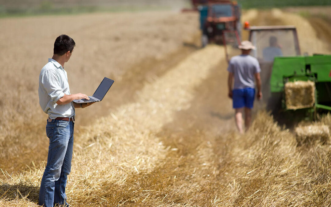 La Junta andaluza desbloquea y abona en tres años ayudas a 3.725 jóvenes agricultores por un importe de 105 millones
