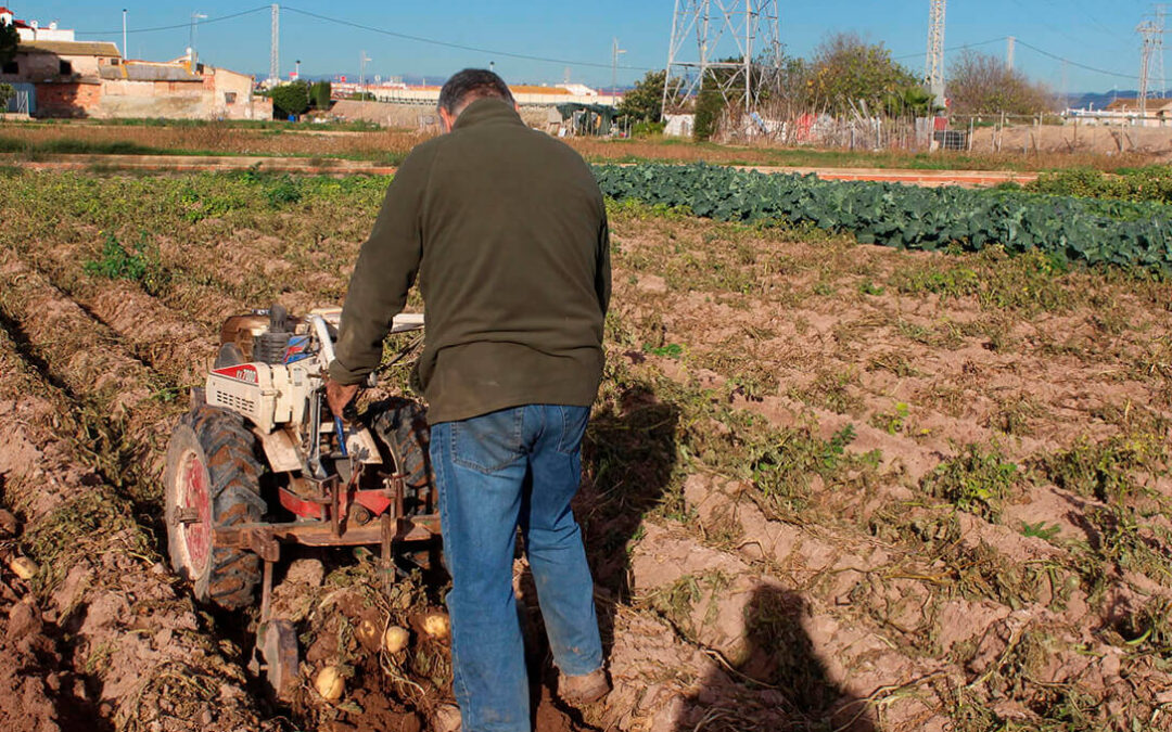 El sector agrario pierde 6.682 afiliados en diciembre y cierra 2021 con 1,09 millones ocupados