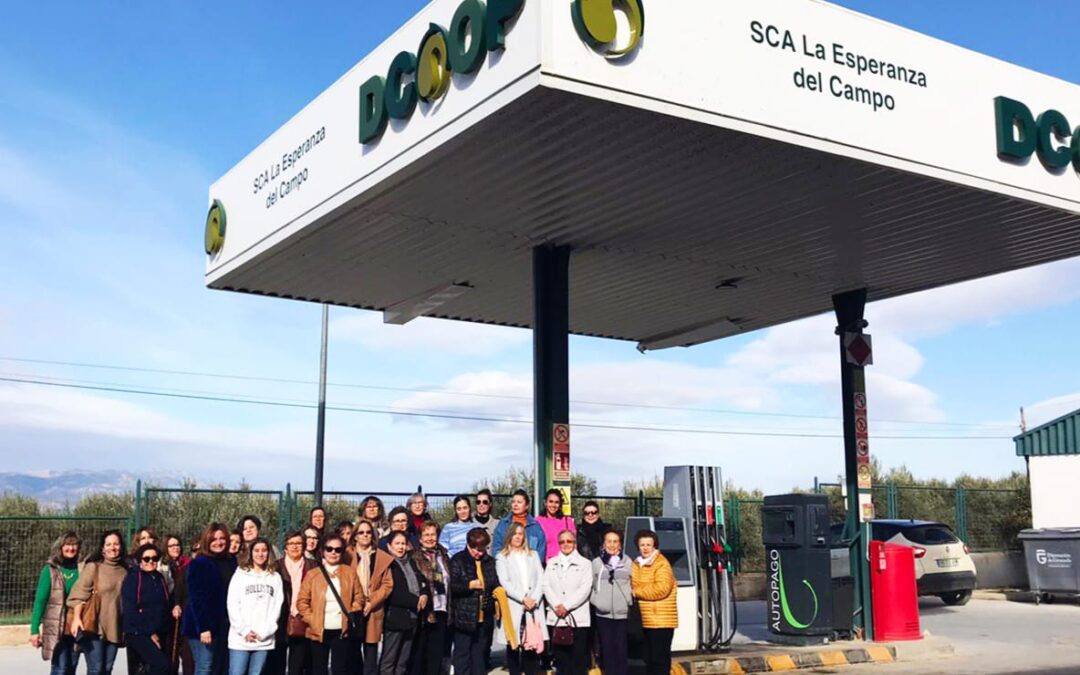 Encuentro de socias de AMCAE-Andalucía en cooperativas de Granada, Jaén y Sevilla para impulsar la igualdad y el liderazgo de las mujeres