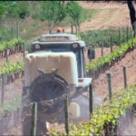 La Rioja fomenta la igualdad de género, el relevo generacional y la sostenibilidad en su Ley de Agricultura y Ganadería